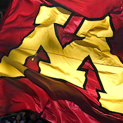 Maroon and gold flags with contrasting "M" symbol flap in the wind among the tops of pine trees